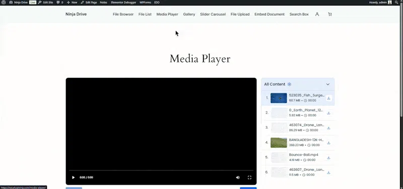 Ninja Drive - Google Drive for WordPress screenshot 7