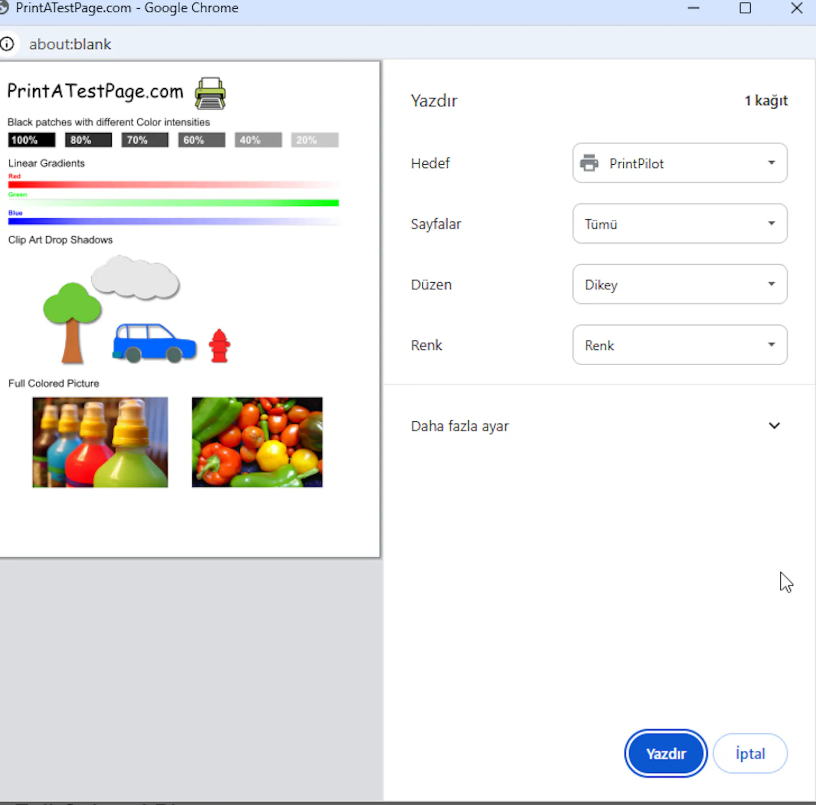 PrintPilot screenshot 3