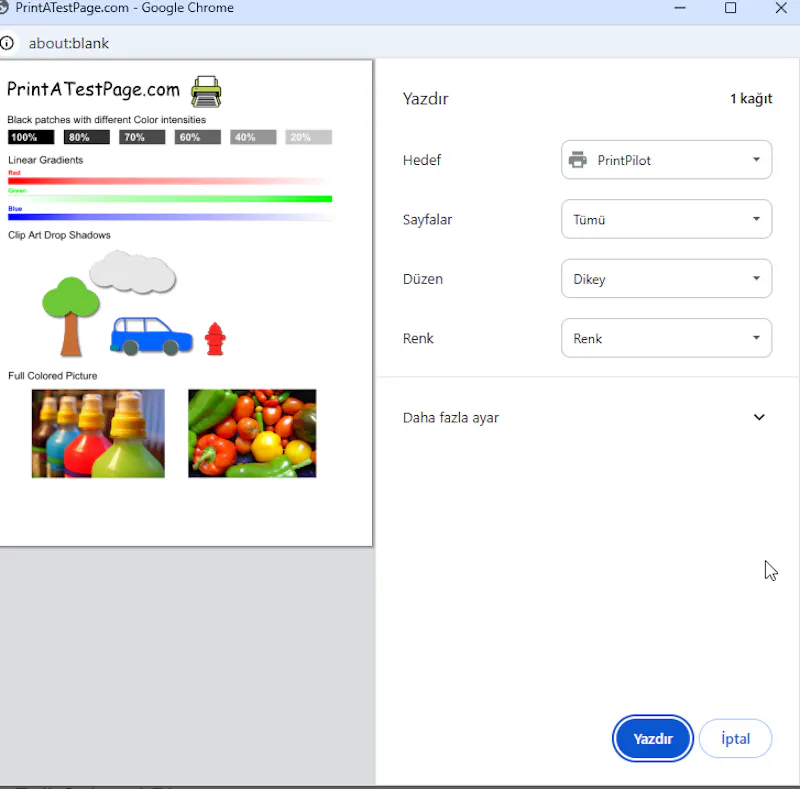 PrintPilot screenshot 3