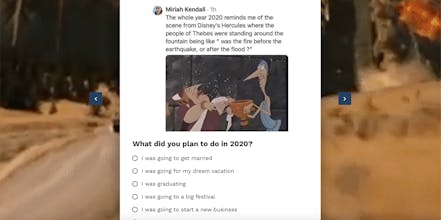 Which 2020 Disaster Are You? gallery image