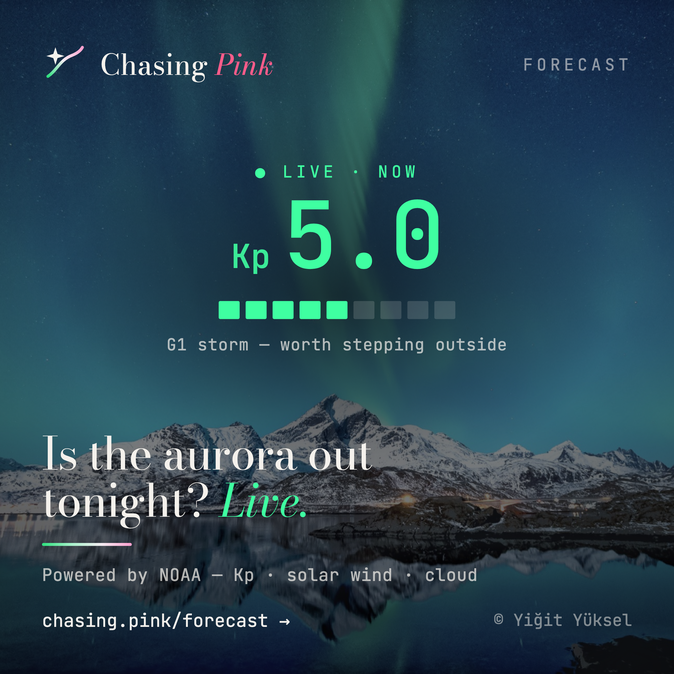 Chasing Pink gallery image
