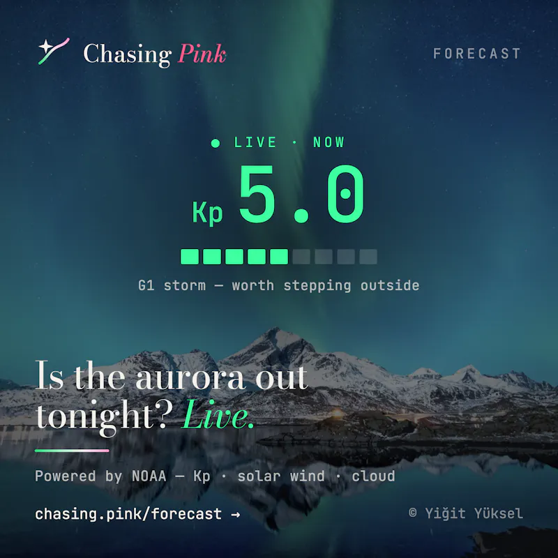 Chasing Pink screenshot 3