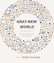 Gray New World gallery image