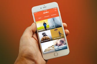 BiteSize Guru gallery image