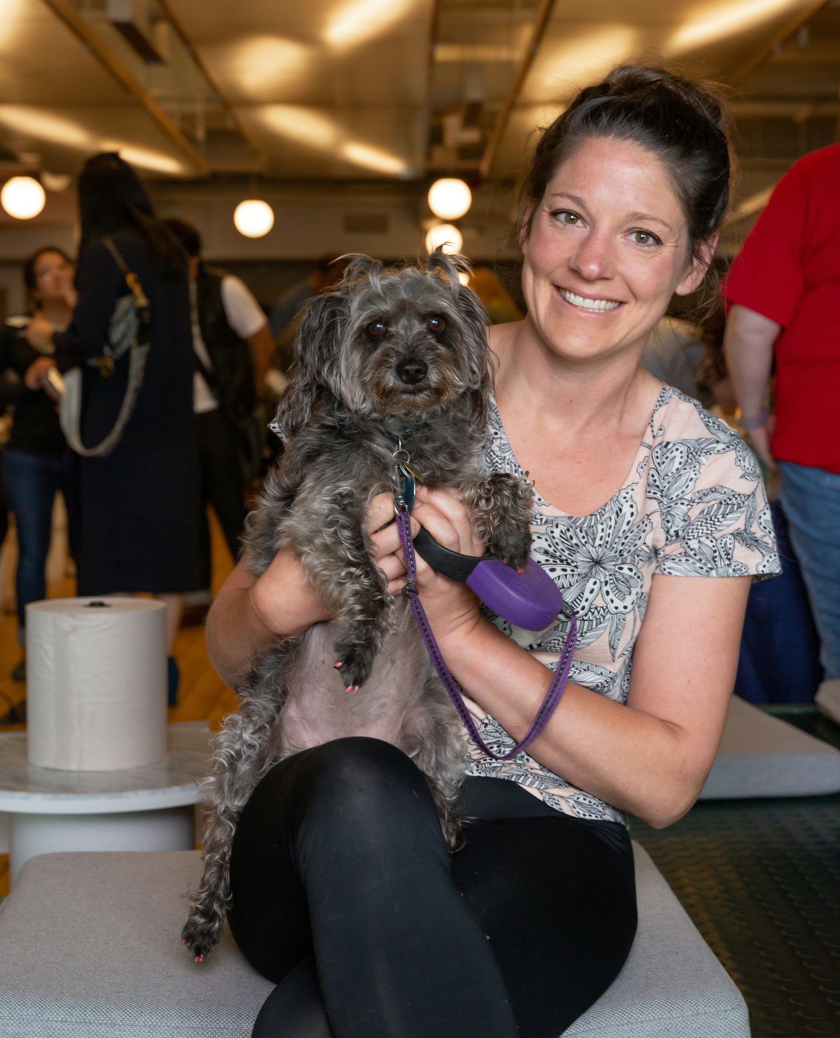 Dig 2.0 gallery image