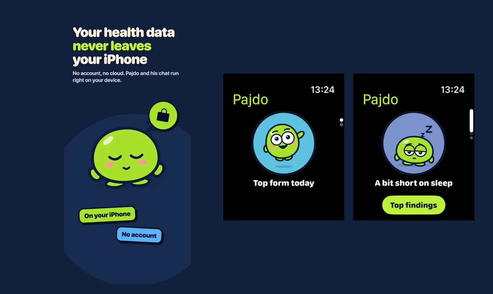Pajdo screenshot 5