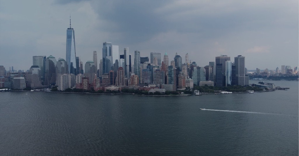 Wololaw - Main screenshot showing features and interface