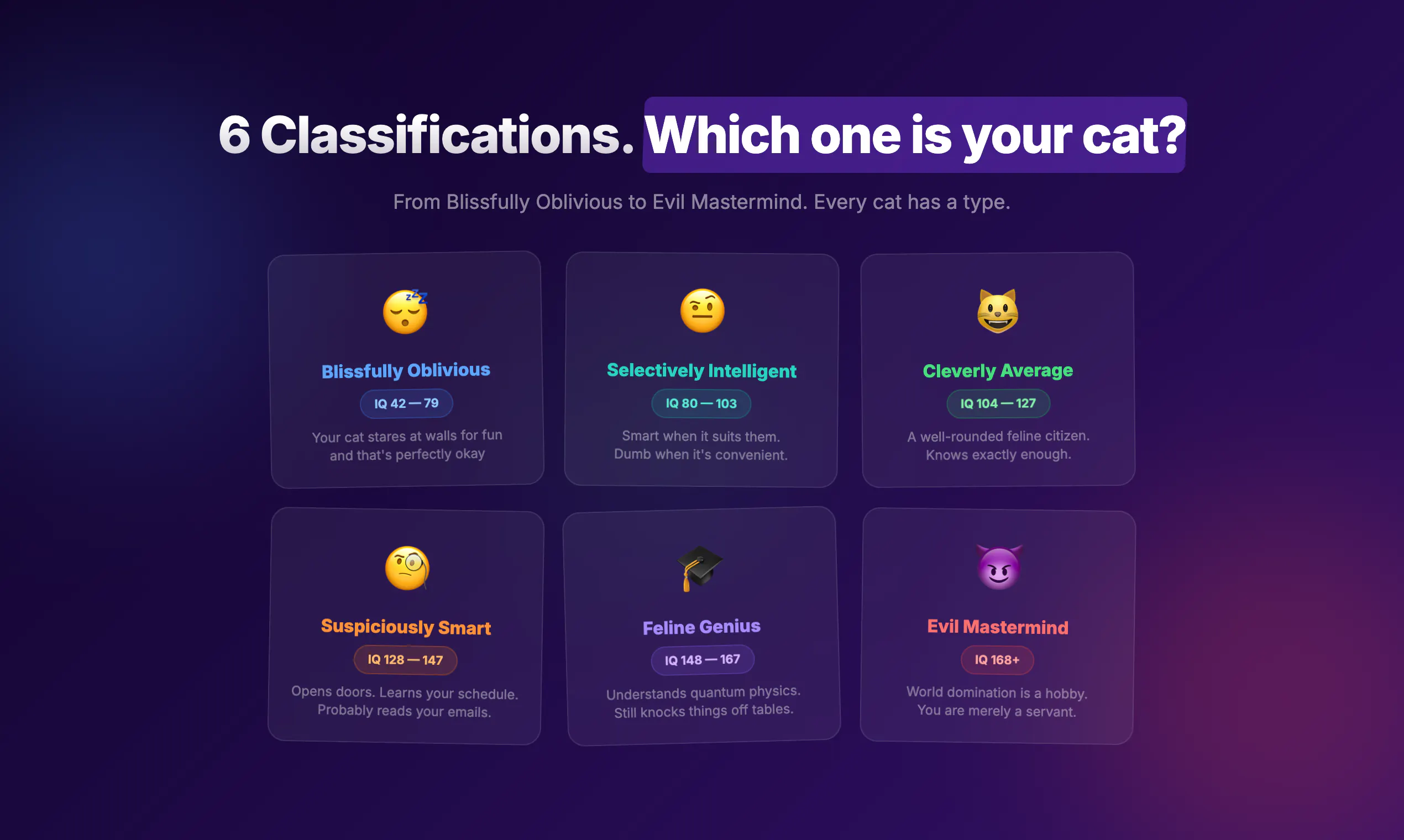 Cat IQ Test gallery image