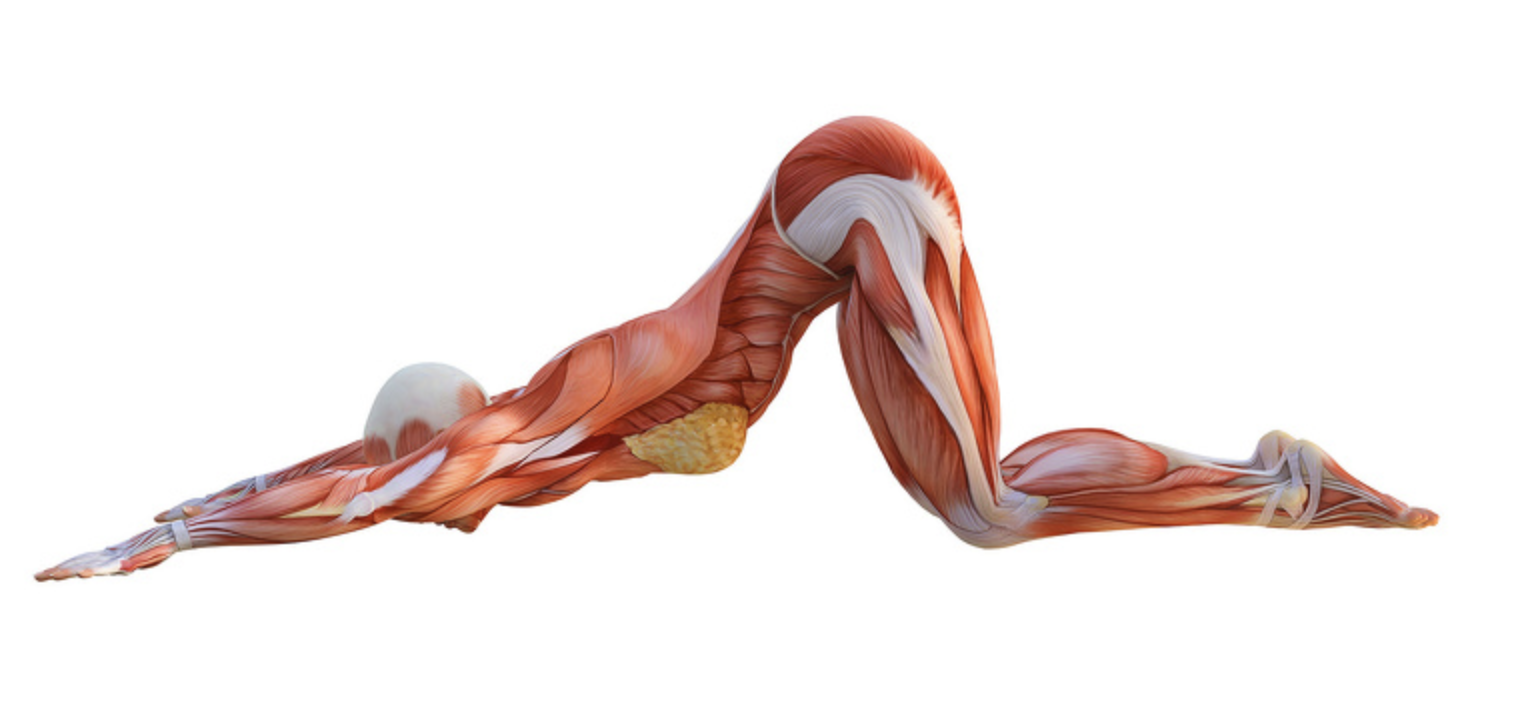 Exercises gallery image