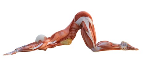 Exercises gallery image