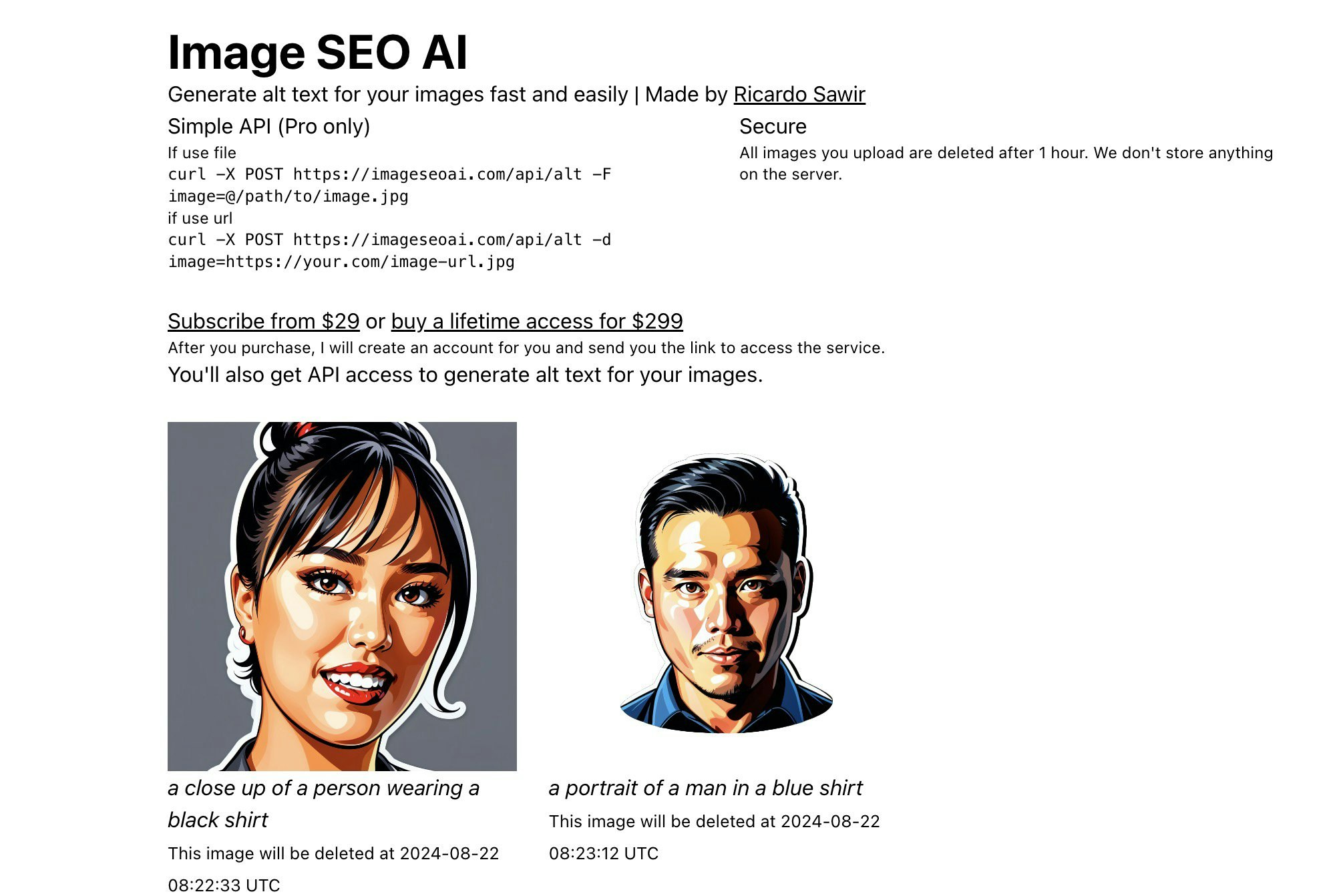 ImageSEOAI gallery image