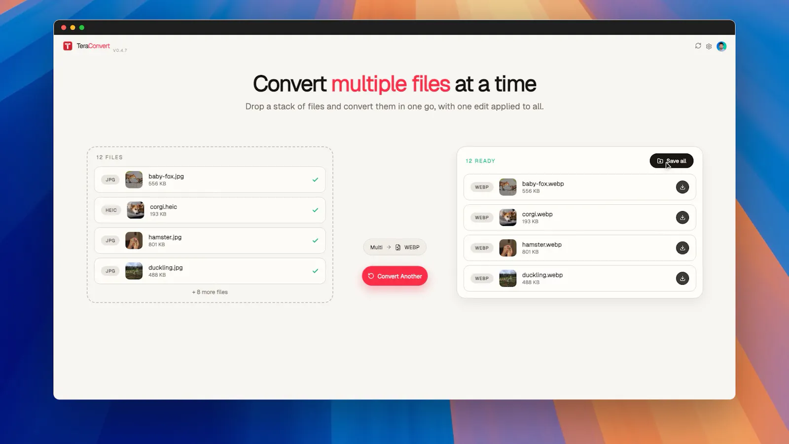TeraConvert screenshot 5