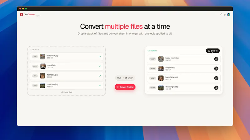 TeraConvert screenshot 5