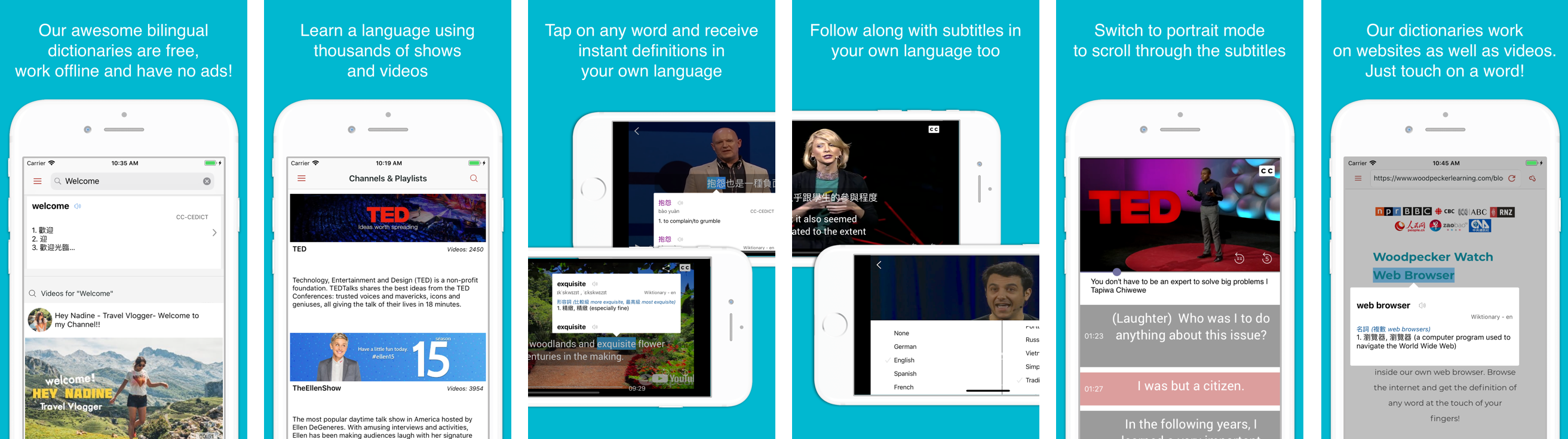 Woodpecker - Language Learning gallery image