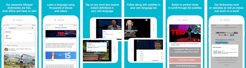 Woodpecker - Language Learning gallery image
