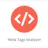 Meta Tag Analyzer