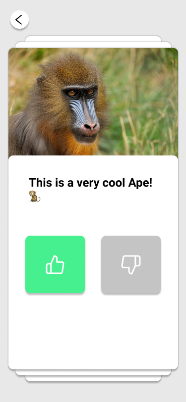 Quizium gallery image