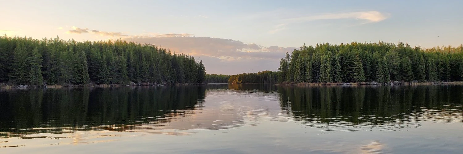 Tristan Pollock cover