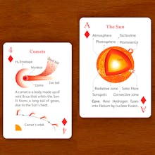 Liquid Bird: Curiosity Unboxed! gallery image