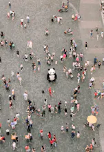 Copy Panda gallery image