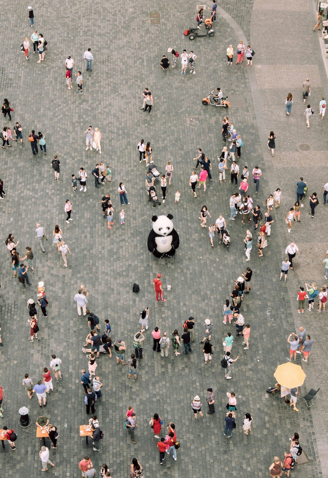 Kopieer panda media 3