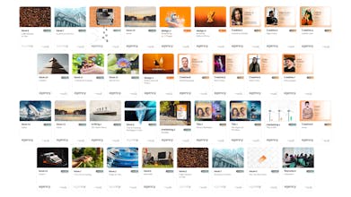 Agency: The Creative Pass gallery image