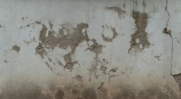 截圖 1