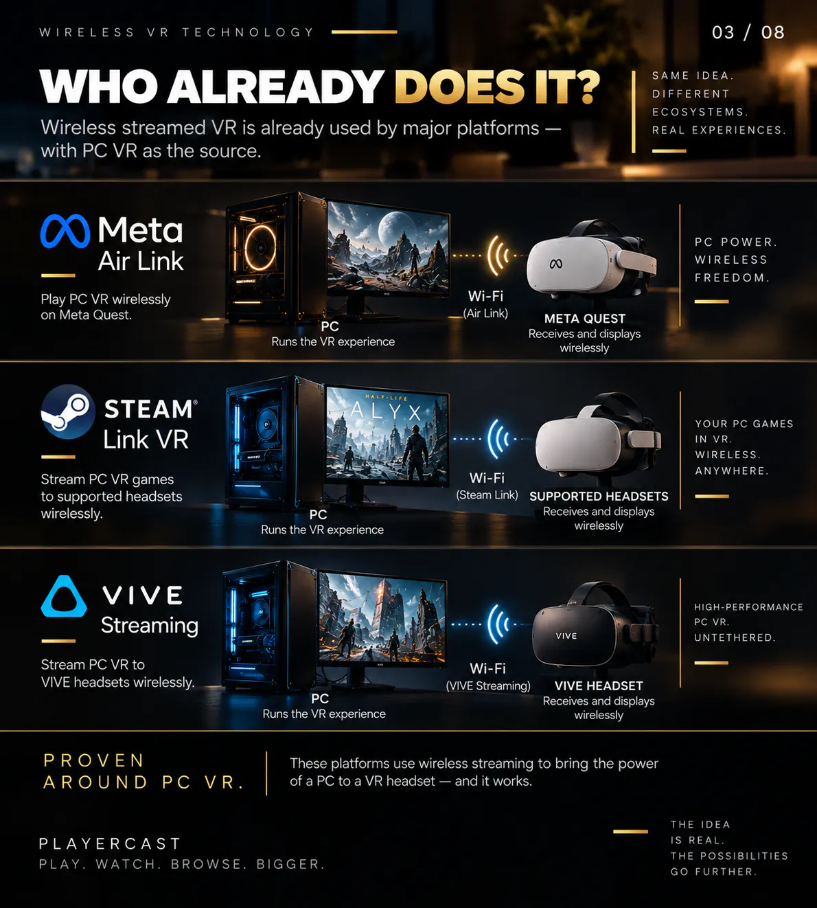 PlayerCast VR gallery image