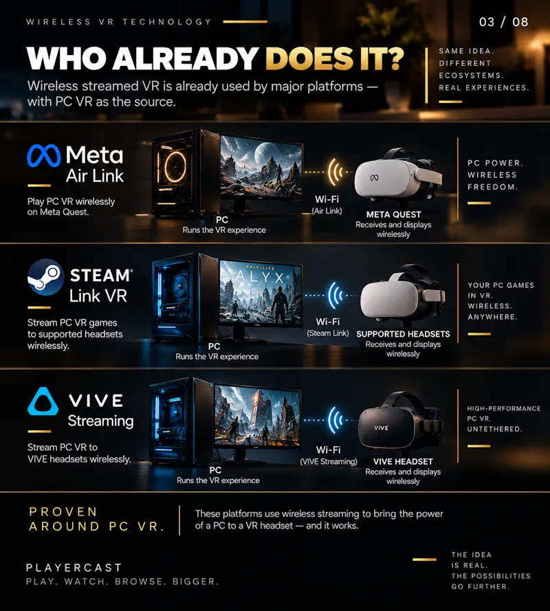 PlayerCast VR screenshot 4