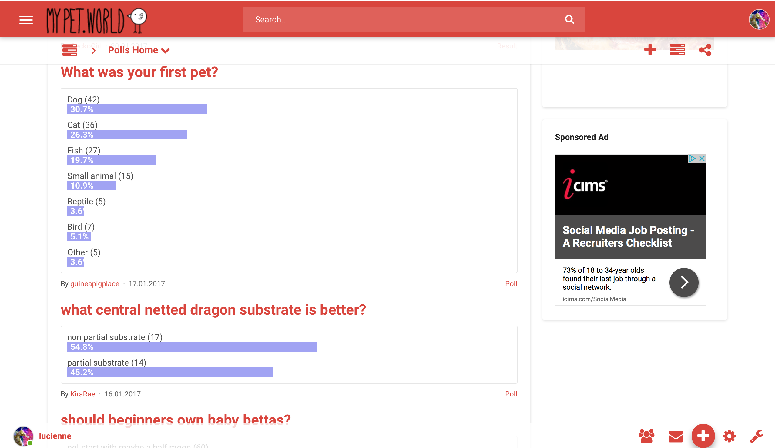 My Pet World gallery image