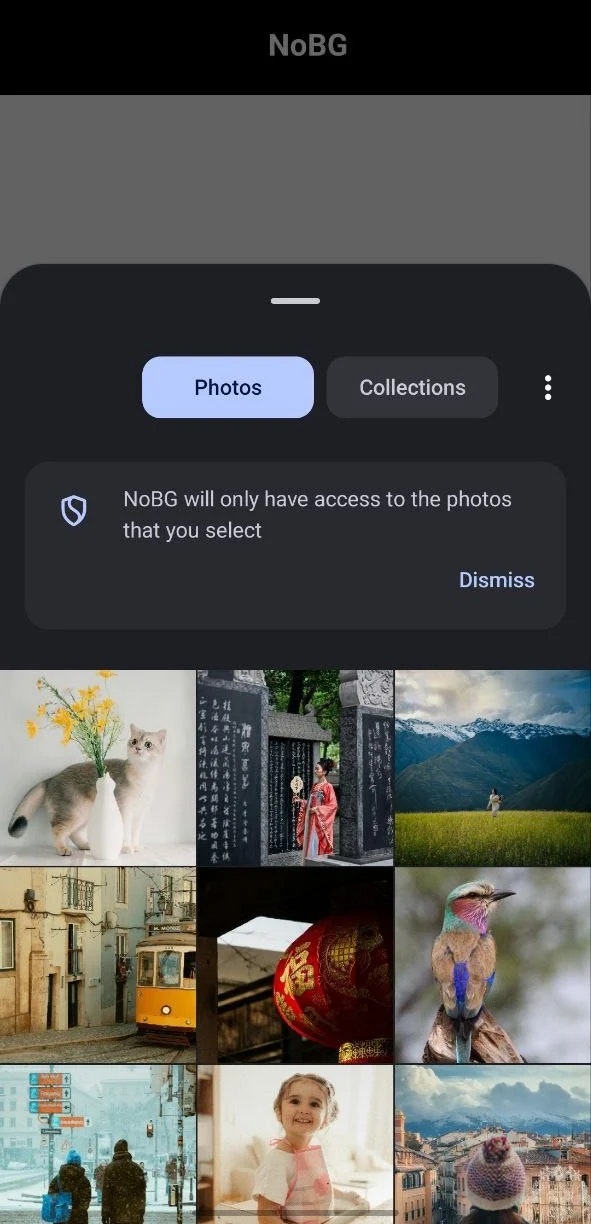 NoBG - Background Remover - Screenshot 3 showing product features and functionality