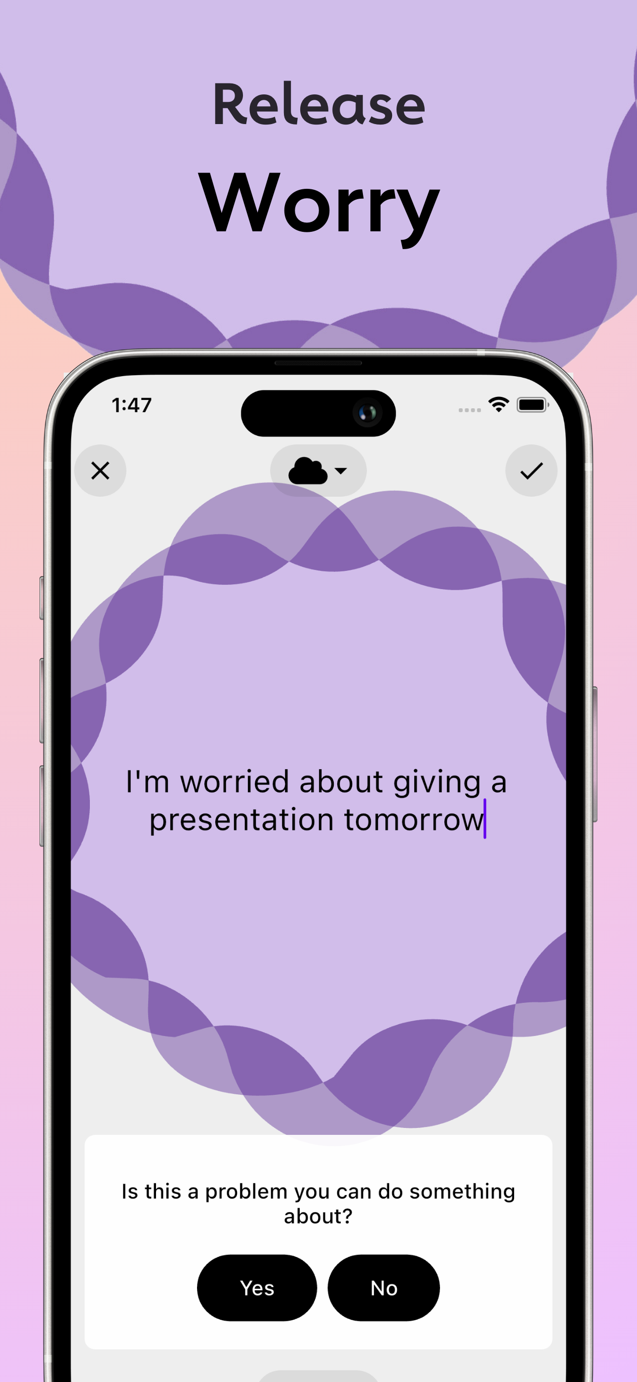 Momentory gallery image