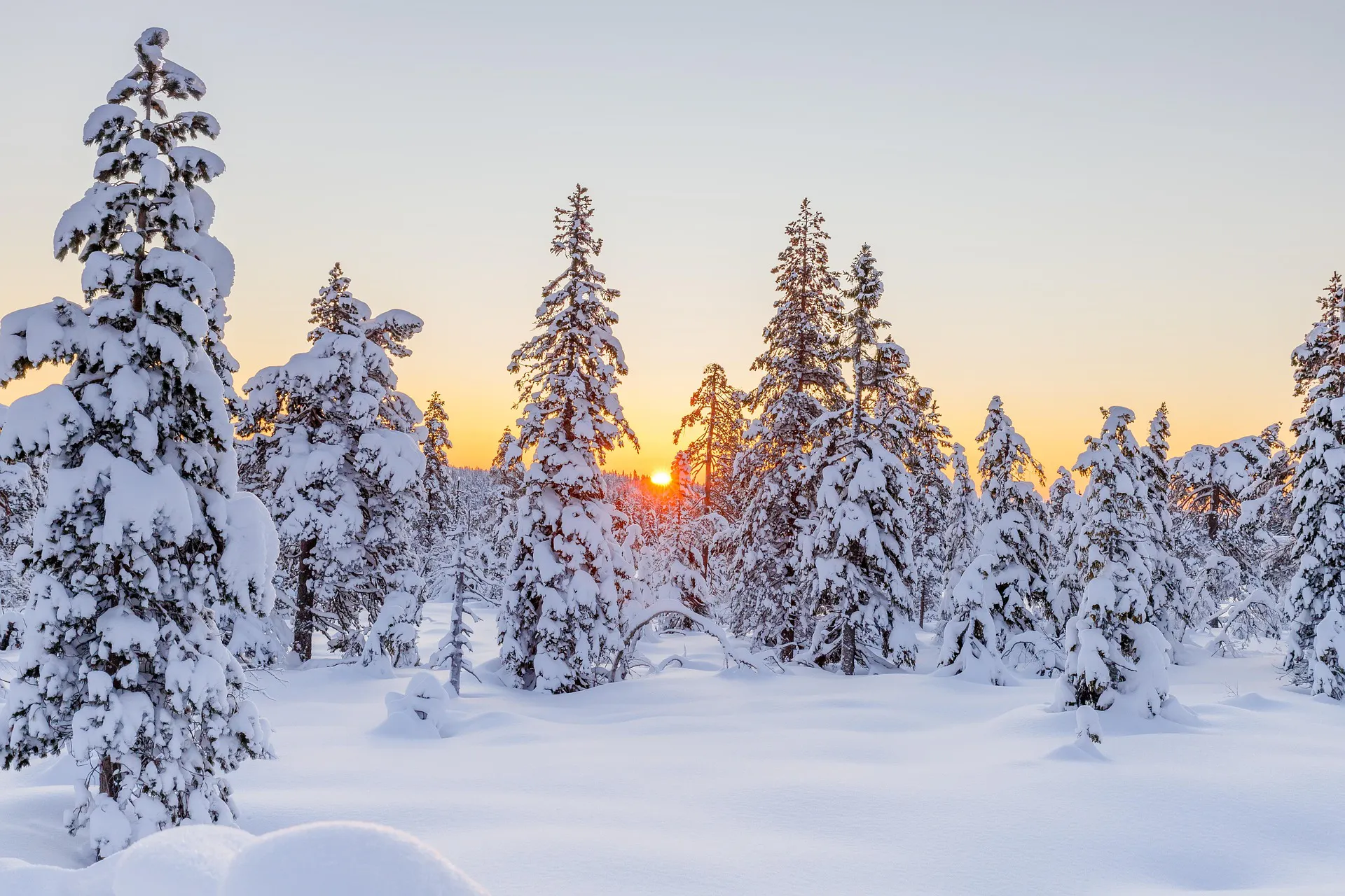 Gulmarg Gondola Ticket Booking Portal gallery image