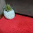 Carpets Online