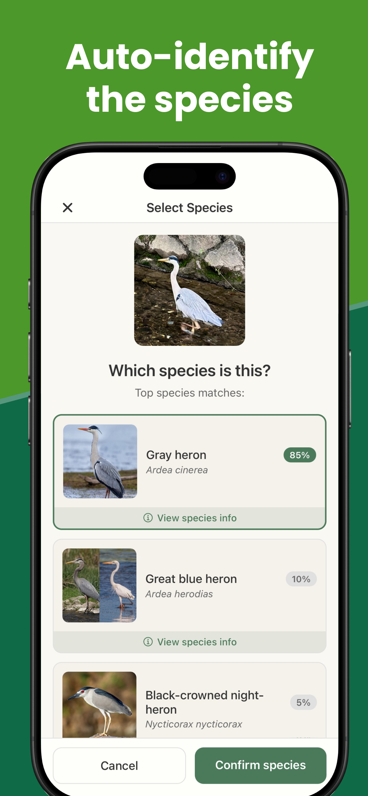 BirdDex gallery image