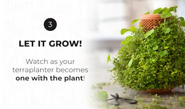 terraplanter gallery image