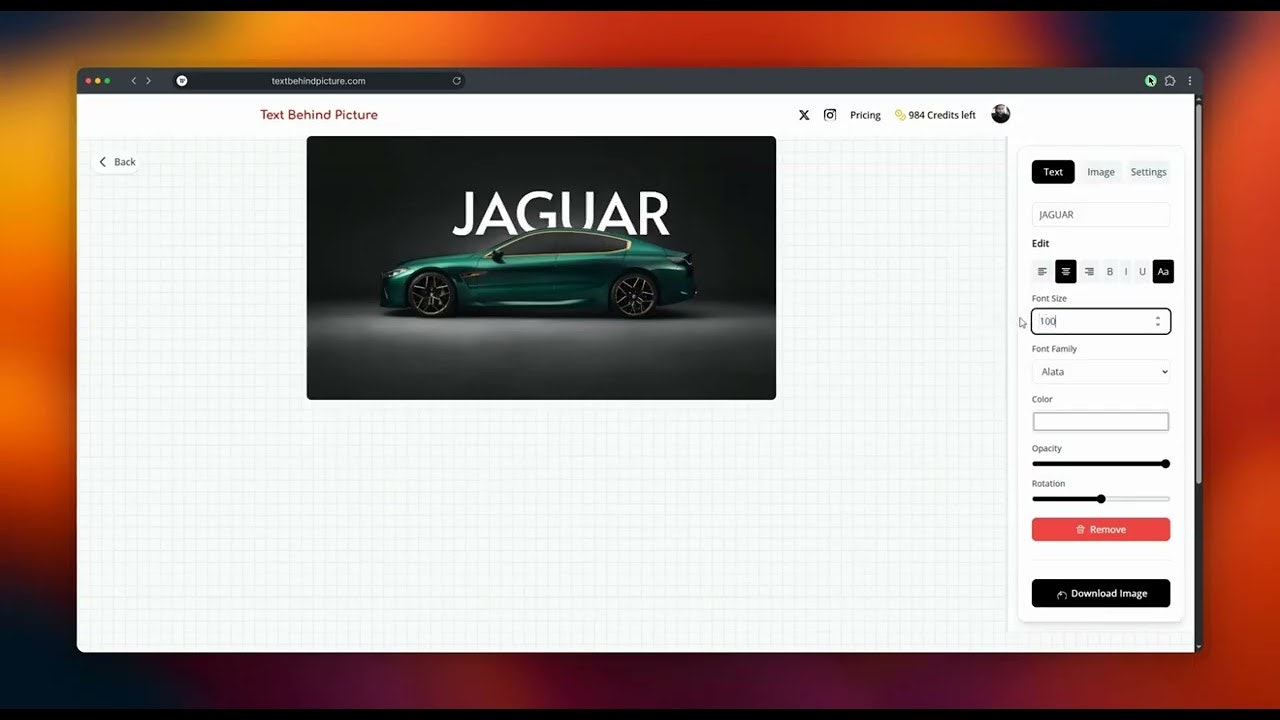 Text Behind Picture gallery image