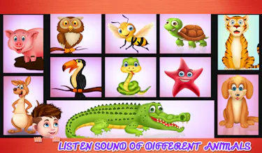 Preschool Educational Learning Animal Sounds Fun gallery image