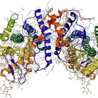 2020 Trends Review 🖖