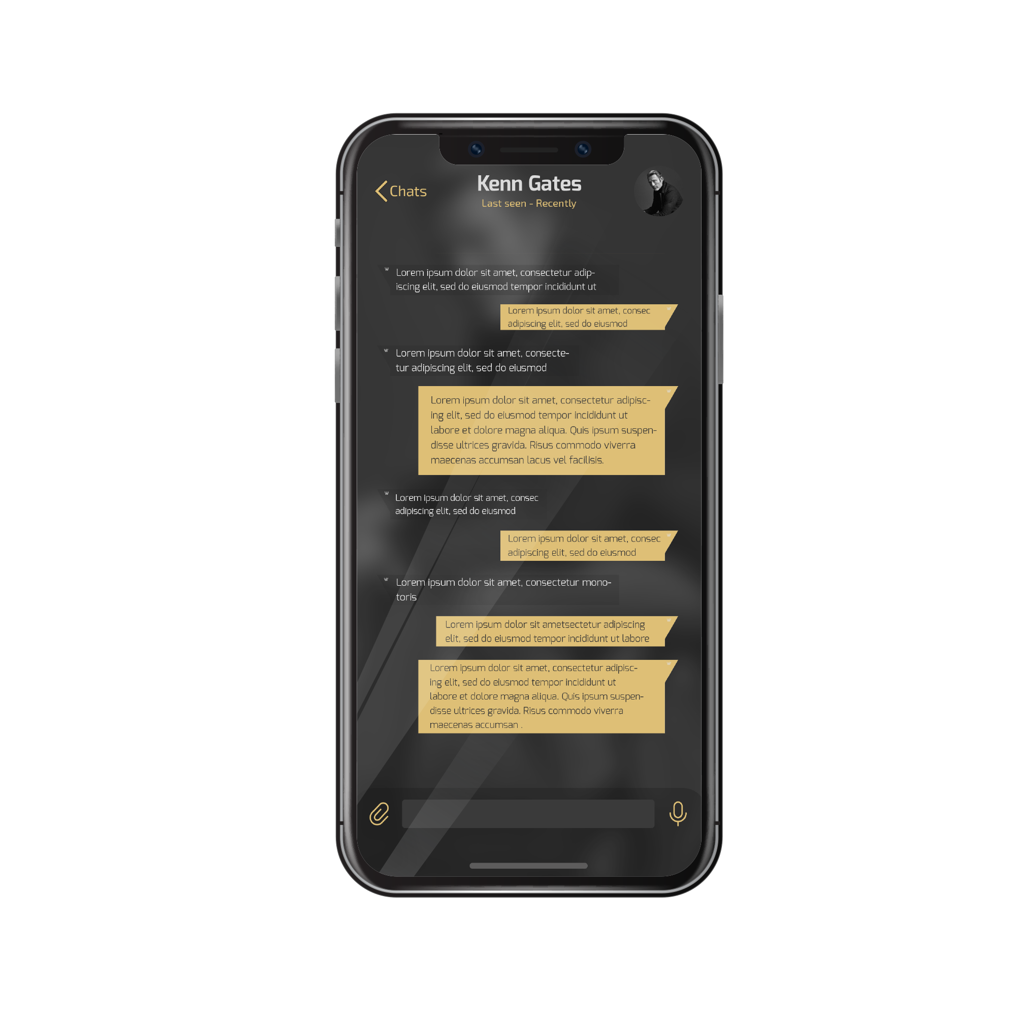 Invisible-Ink Private Messaging iOS App gallery image