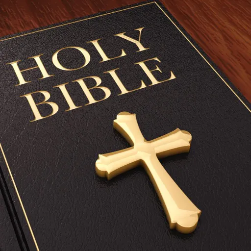 Bible Study AI - Read Offline gallery image