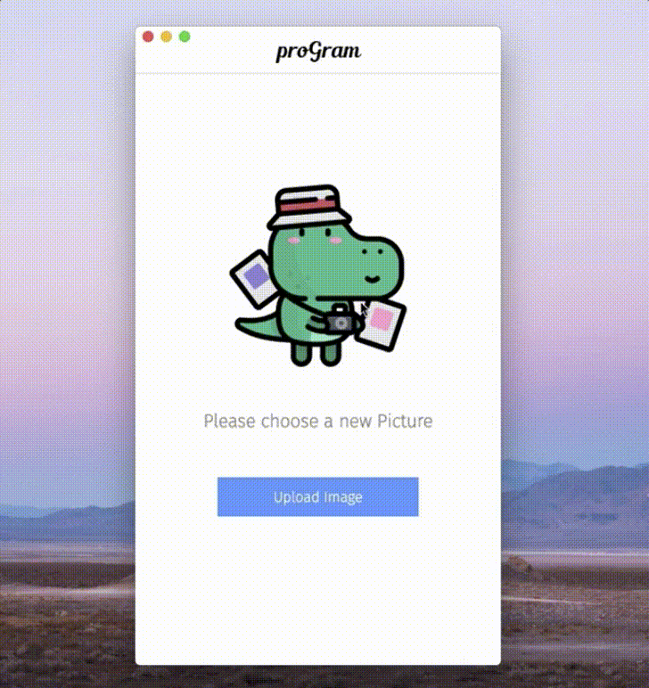 ProGram Image