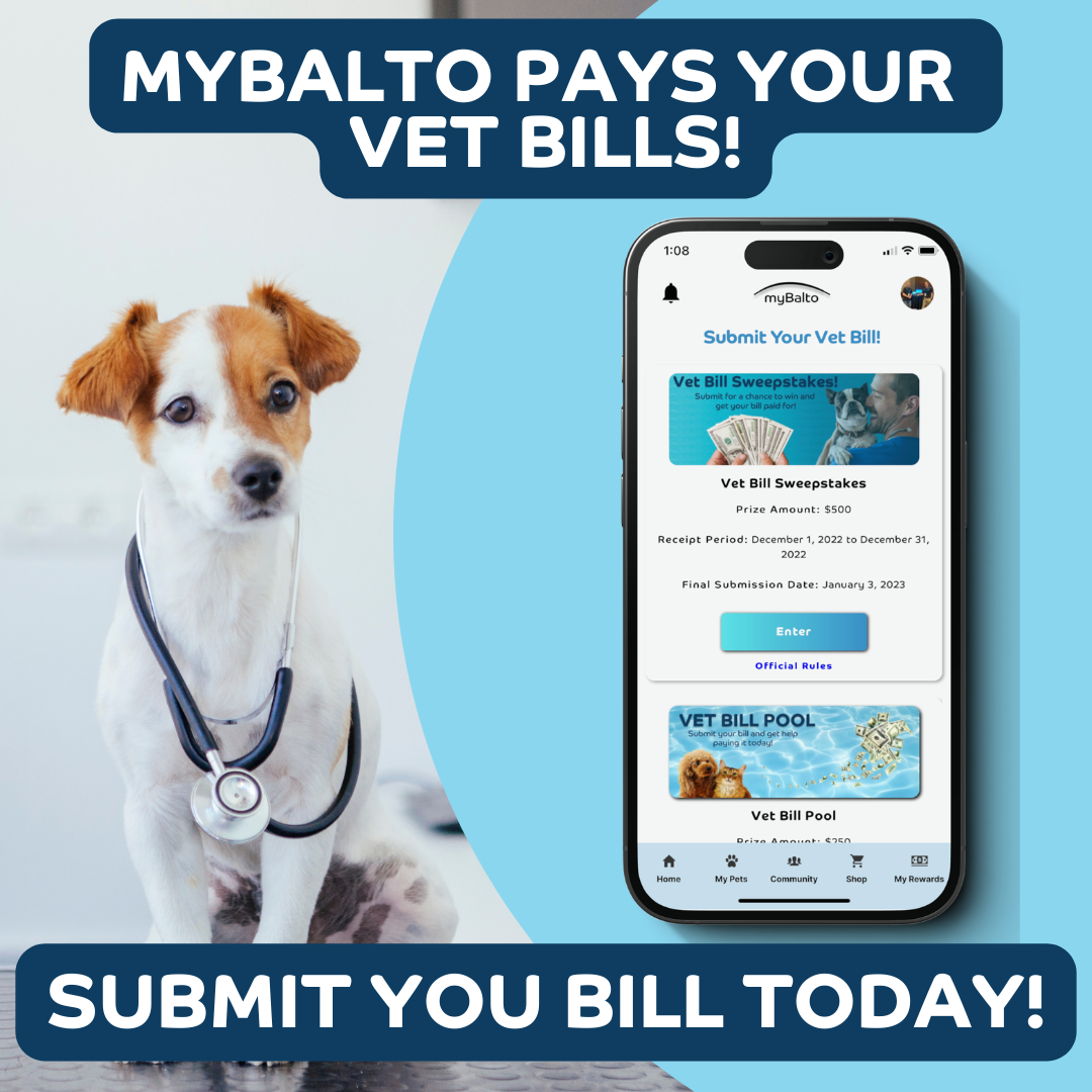Media mybalto - Platform Kesihatan Pet Direka untuk meletakkan $$$ kembali di dompet anda 5