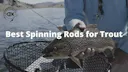 Spinning rods for catching trout