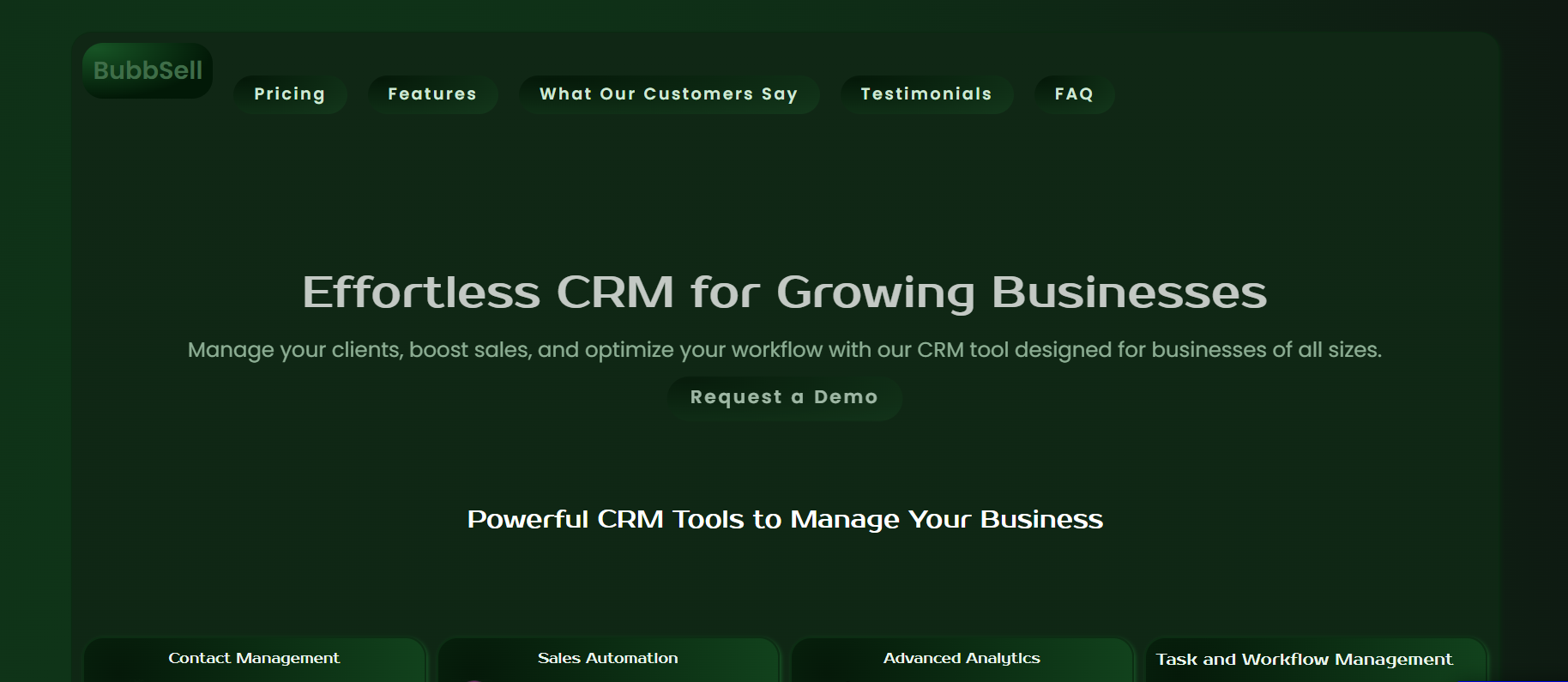 Целевая страница CRM Bubbsell media 6