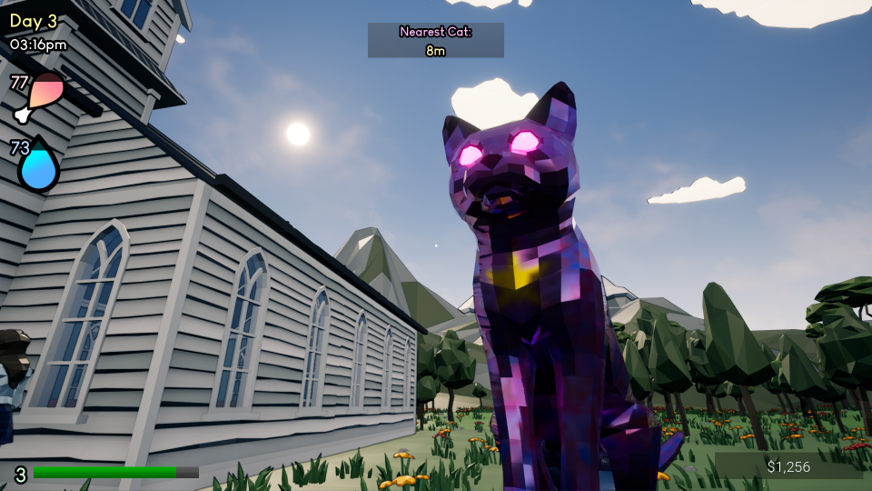 This & Cats gallery image