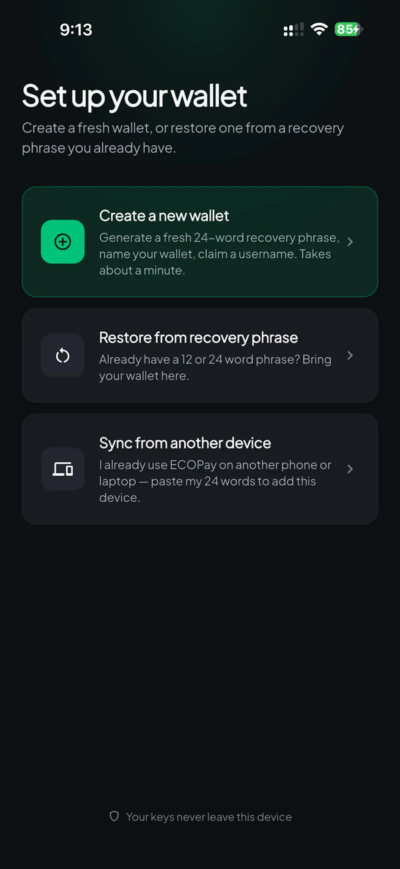 ECOPay Self-Custody Wallet screenshot 13