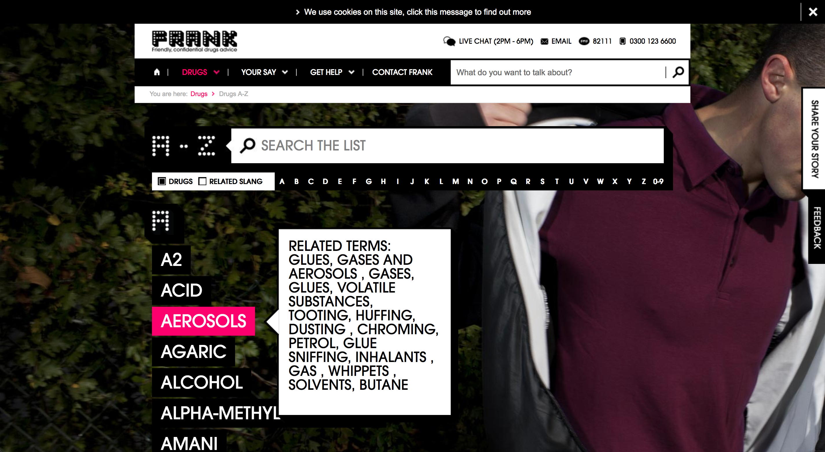 Talk To Frank gallery image