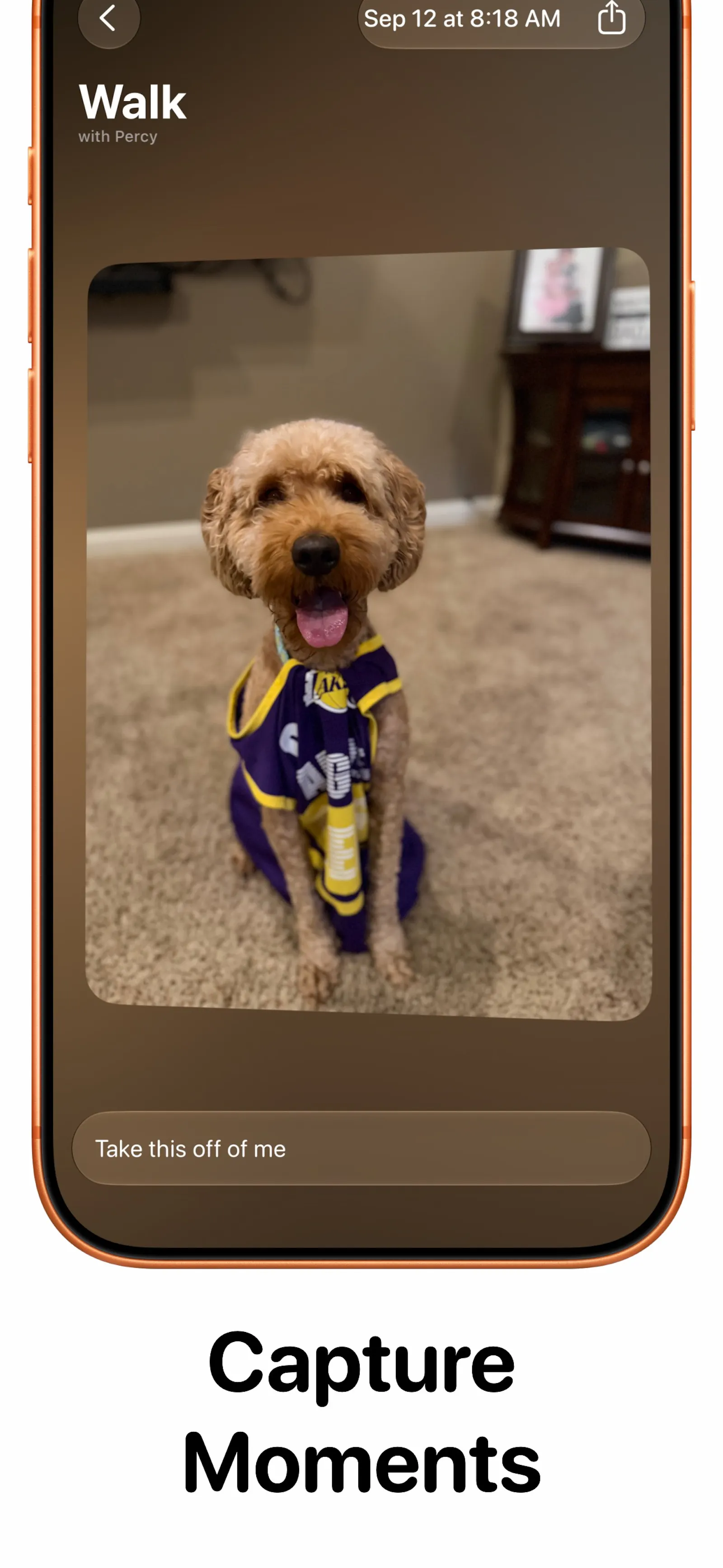 Zoomie - Dog Activity Tacker screenshot 6