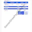 Owner Draw Pay Stub